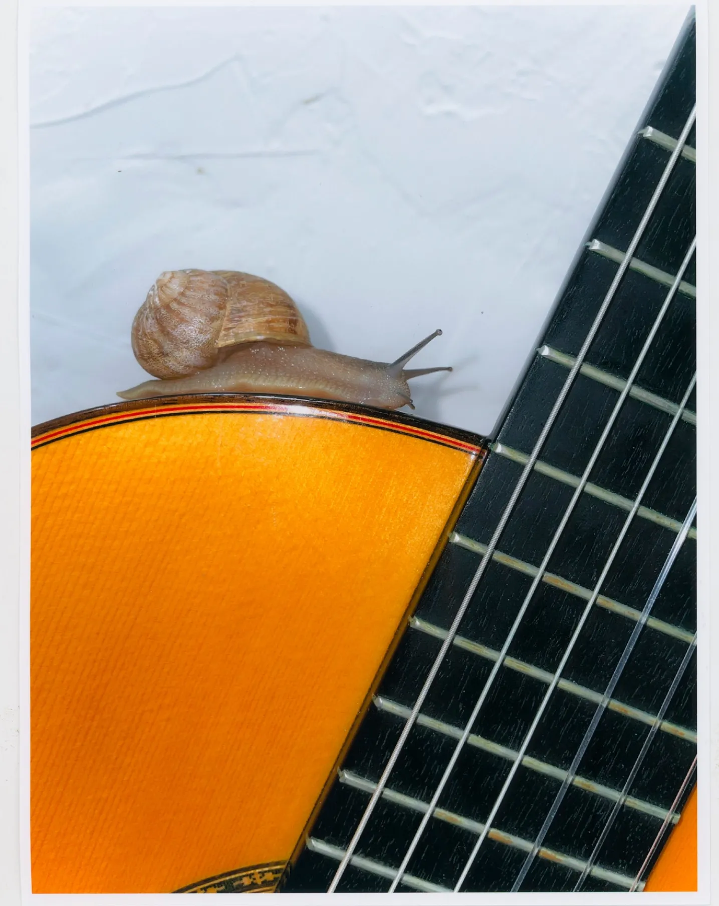 A FLAMENCO CATHARSIS MAGAZINE