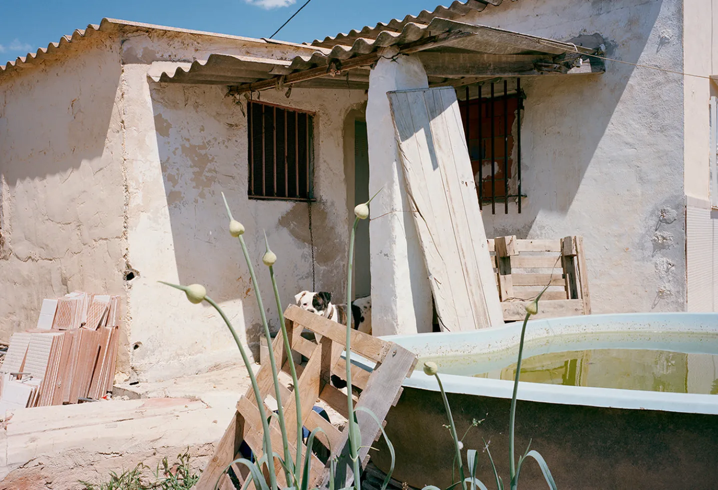 THE WAITING GAME III