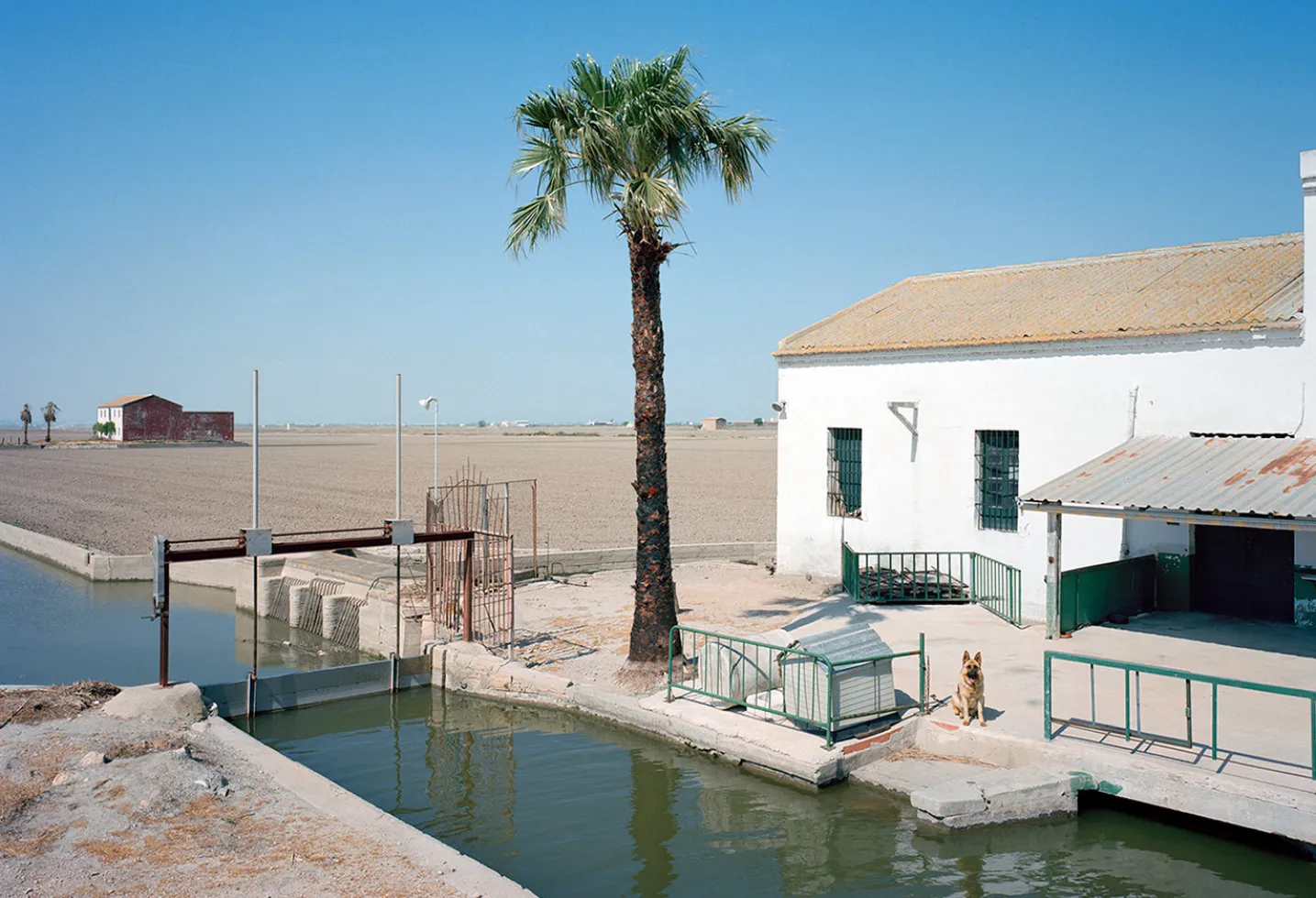 THE WAITING GAME III