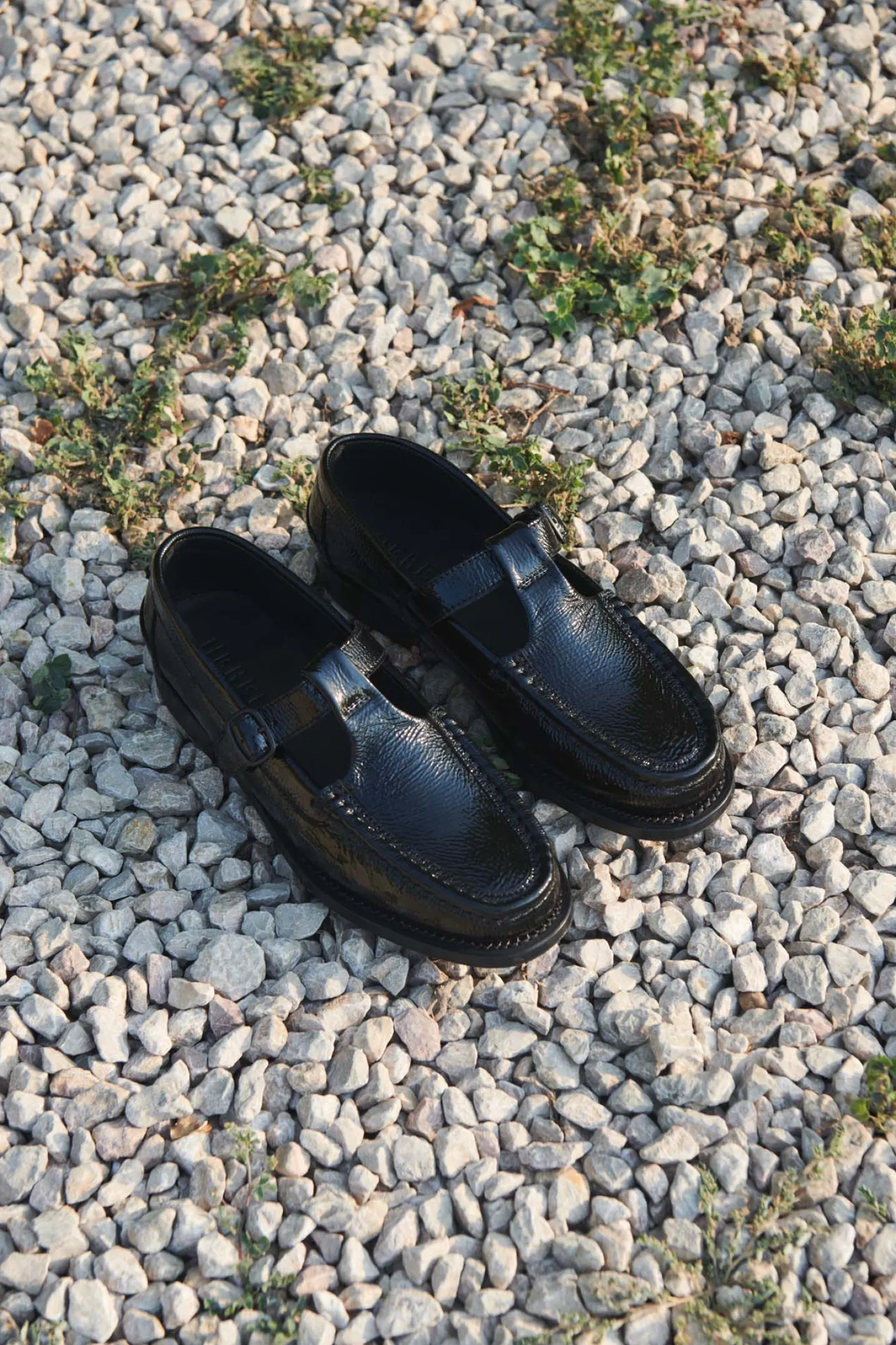 ALBER CRINKLED GLOSSY